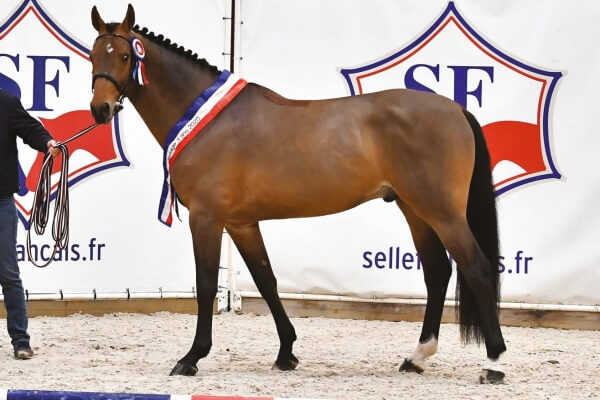 photos les garennes